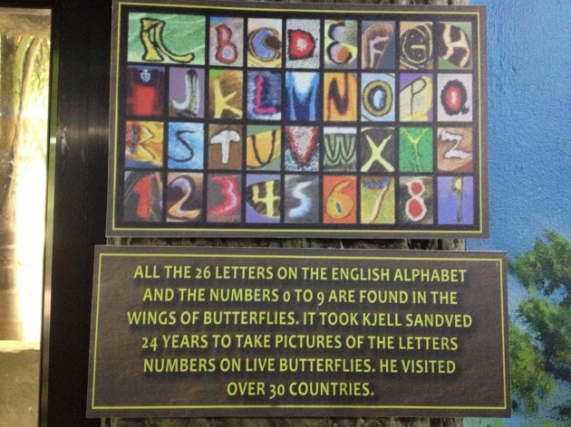 All the alphabet letters on butterfly wings